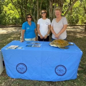 Turtle Watch Information stall at Haliday Bay